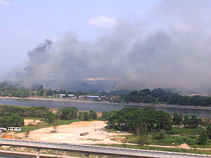 20050321-bushfire.jpg