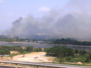 20050321-bushfire.jpg