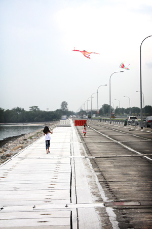 20090321_kite_1