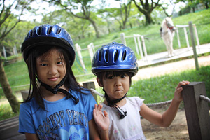 Clié and Cleo at Gallop Stables