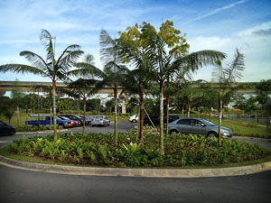 Carpark Area