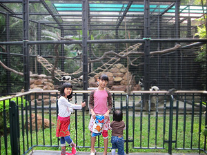 Hong Kong Zoological and Botanical Gardens