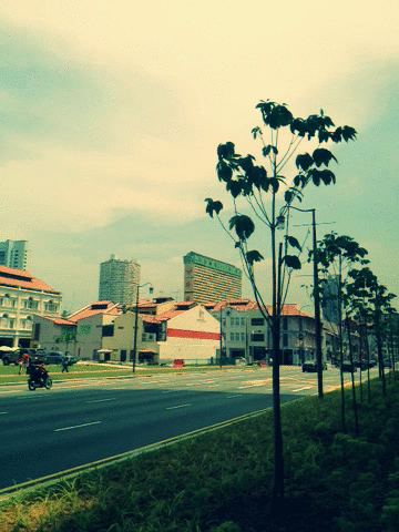 Cinemagram of Sunny Chinatown in Singapore