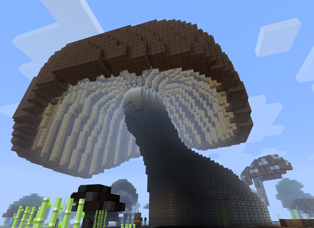 Giant Mushroom!