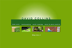 20050316-davidcollins-01.jpg