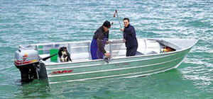 550 Cobia Aluminium Dinghy Boat