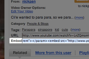 Youtube Embed Problem