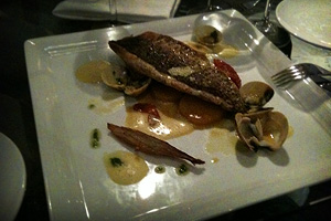 Grilled Fish for mains