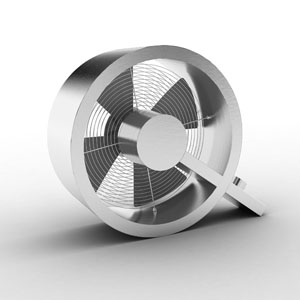 20110109_q Q Fan