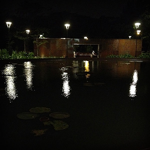 overlooking the pond at night