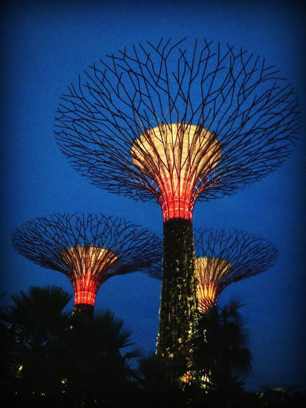 Gardens by the Bay - Supertrees