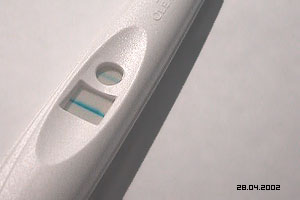 Positive Preggy Test